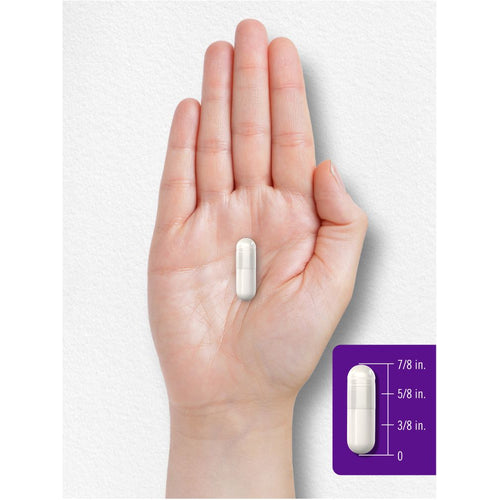 View 7 Pre & Probiotics 25 Billion CFU per serving | 100 Capsules