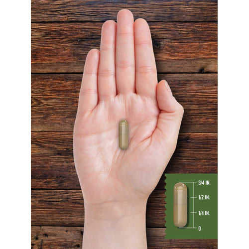View 7 Grass Fed Beef Kidney 3000mg per serving | 200 Capsules