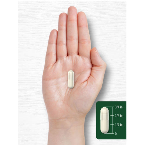 View 7 Raíz de Ñame Silvestre 1200mg | 200 Cápsulas