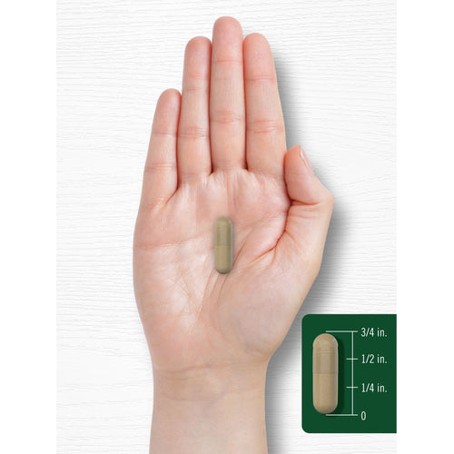 View 7 Gotu Kola | 180 Capsules