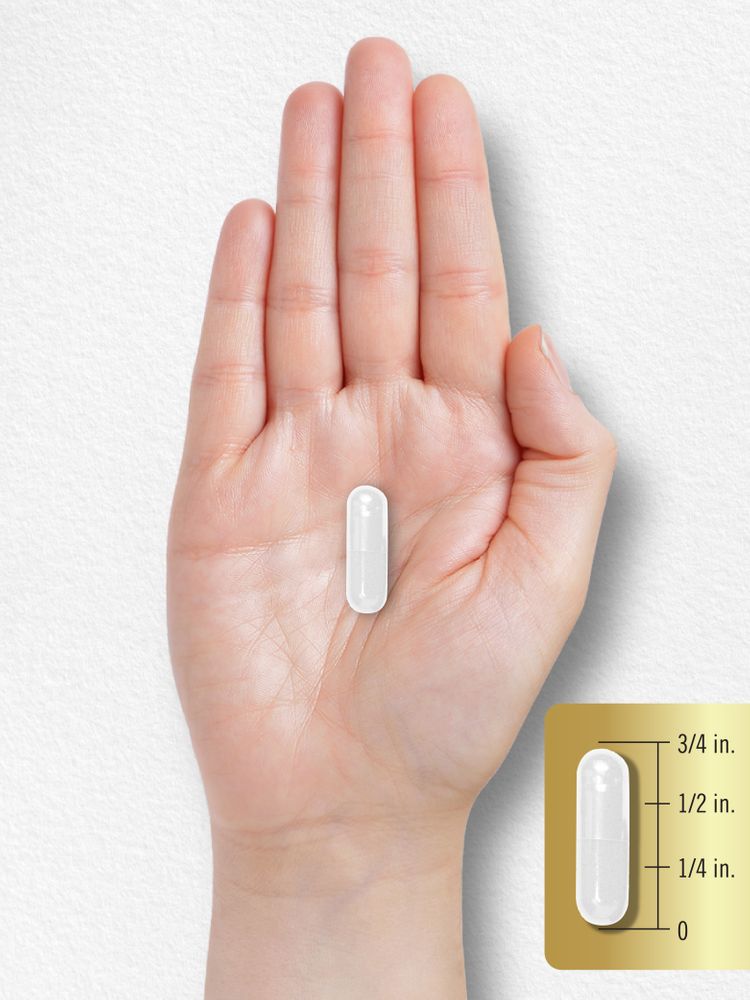 L-Glutamina 1500mg per dose | 240 Capsule