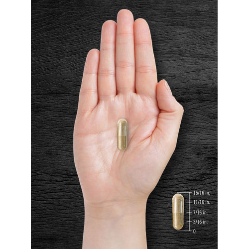 View 7 Pygeum Africanum Rinde 4000mg | 200 Kapseln