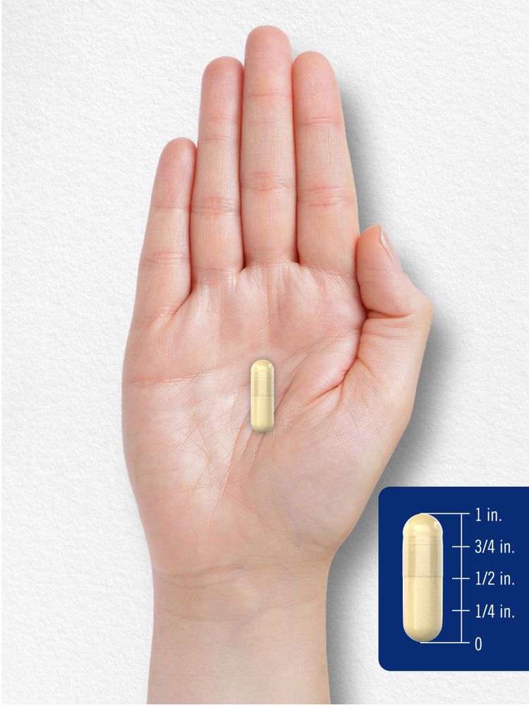 Gelatine 2160 mg mit Silica Optimizer | 250 Kapseln