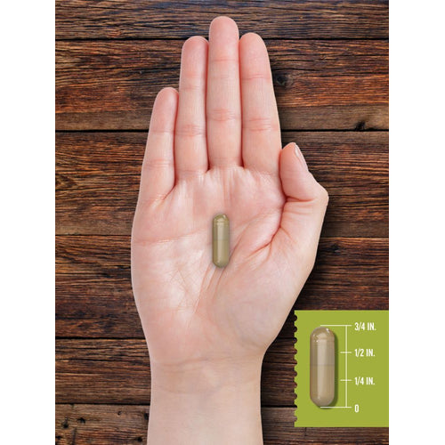 View 7 Páncreas de Res Alimentada con Pasto 550 mg por porción | 200 Cápsulas