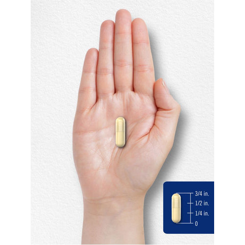 View 7 NADH CoQ10 20mg | 60 Capsule
