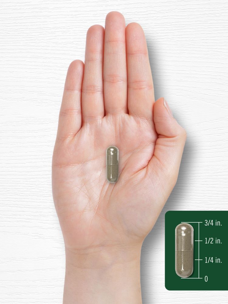 Foglia di Verbasco 1500mg per porzione | 200 Capsule