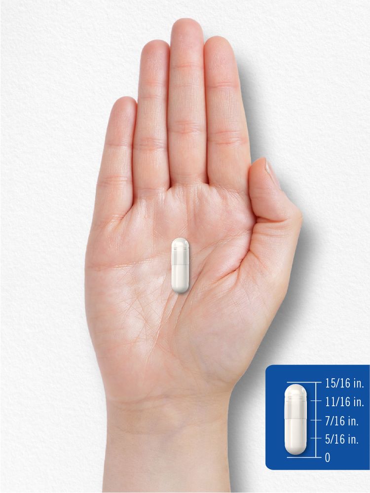 Acido Pantotenico 1000 mg per porzione | 100 Capsule