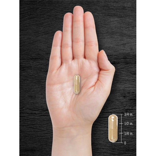 View 7 Pygeum Supplement | 240 Capsules